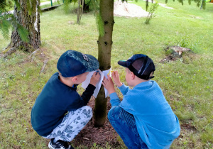 Chłopcy odrysowują pastelami korę drzewa na kartkach.