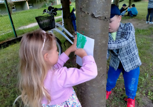 Dziewczynka z chłopcem odrysowują pastelami korę drzewa na kartkach.