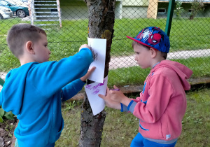 Chłopcy odrysowują pastelami korę drzewa na kartkach.