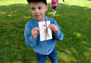 Chłopiec prezentuje obrazek z okazów naturalnych umieszczonych na kartce.