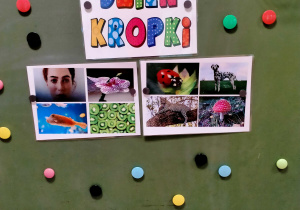 Na tablicy wisi napis "Dzień kropki", obrazki z przedmiotami, roślinami i zwierzętami w kropki oraz kolorowe magnesy