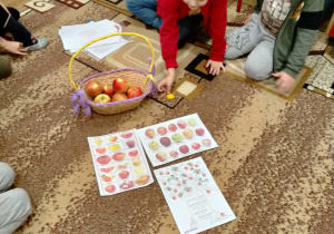 Dzieci poznają gatunki jabłek na podstawie ilustracji.