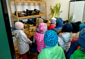 Dzieci oglądają owoce i warzywa w sklepie owocowo-warzywnym.