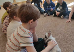 Zajęcia edukacyjne z królikiem