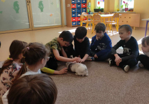 Zajęcia edukacyjne z królikiem