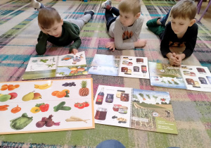 Chłopcy dowiedzieli się skąd pochodzą ekologiczne warzywa.